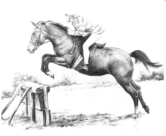 576x471 Jumping Horse Drawings - Jumping Horse Sketch
