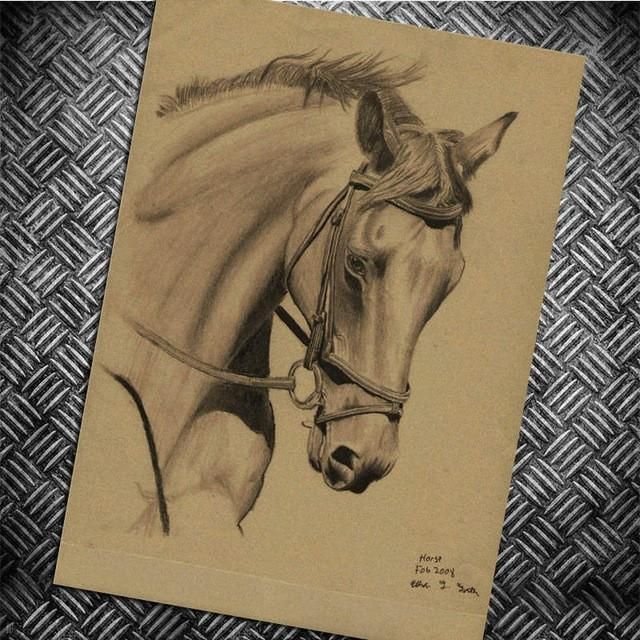 640x640 Jumping Horse In Bridle - Jumping Horse Sketch