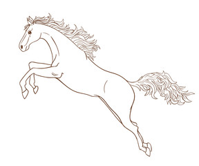 288x240 Jumping Horse Outline Photos, Royalty Free Images, Graphics - Jumping Horse Sketch