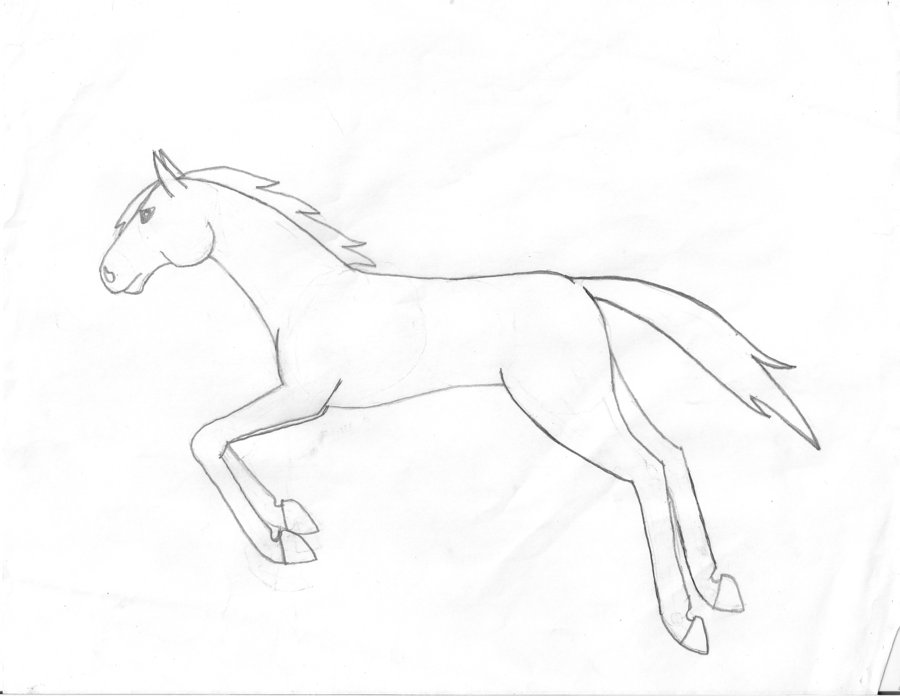 900x696 Jumping Horse Sketch 1 By Okima San - Jumping Horse Sketch