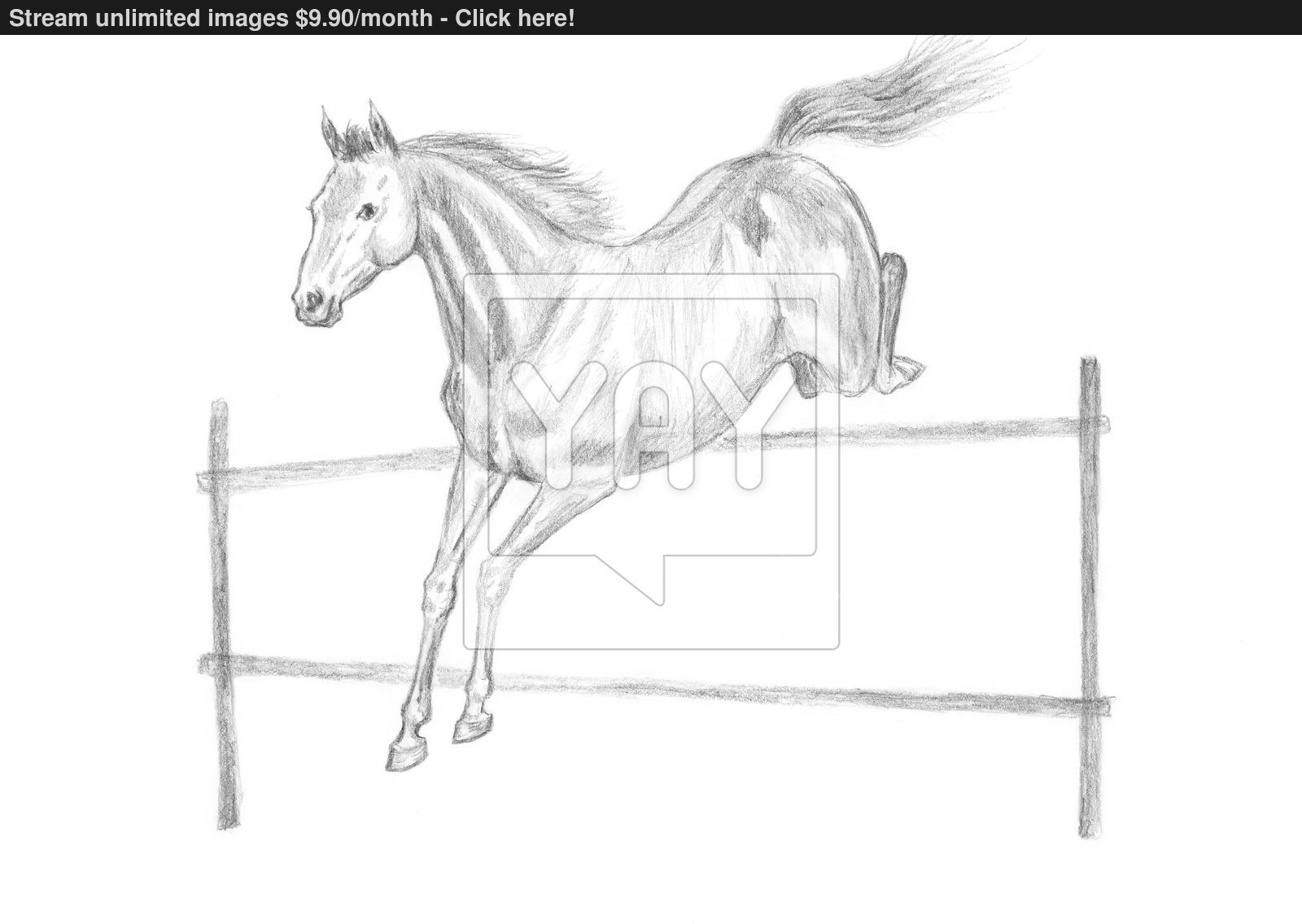 1600x1136 Jumping Horse Drawing Image - Jumping Horse Sketch