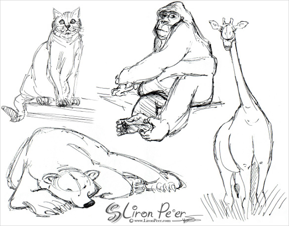 Jungle Animal Sketch