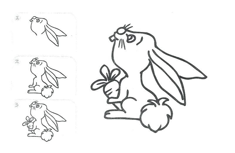 800x520 Step By Step Drawing Animals Easy Jungle Animal Drawings Free - Jungle Animal Sketch