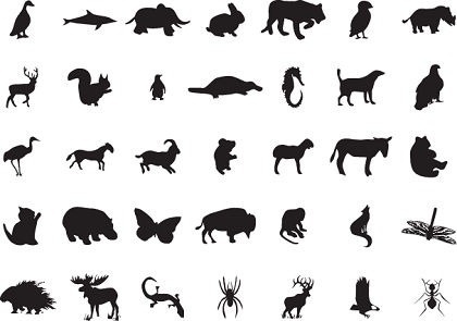 420x295 Vector Wild Animals Jungle Free Vector Download (6,982 Free Vector - Jungle Animal Sketch