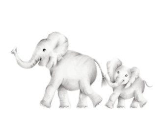 340x270 Baby Jungle Animal Drawings - Jungle Animal Sketch