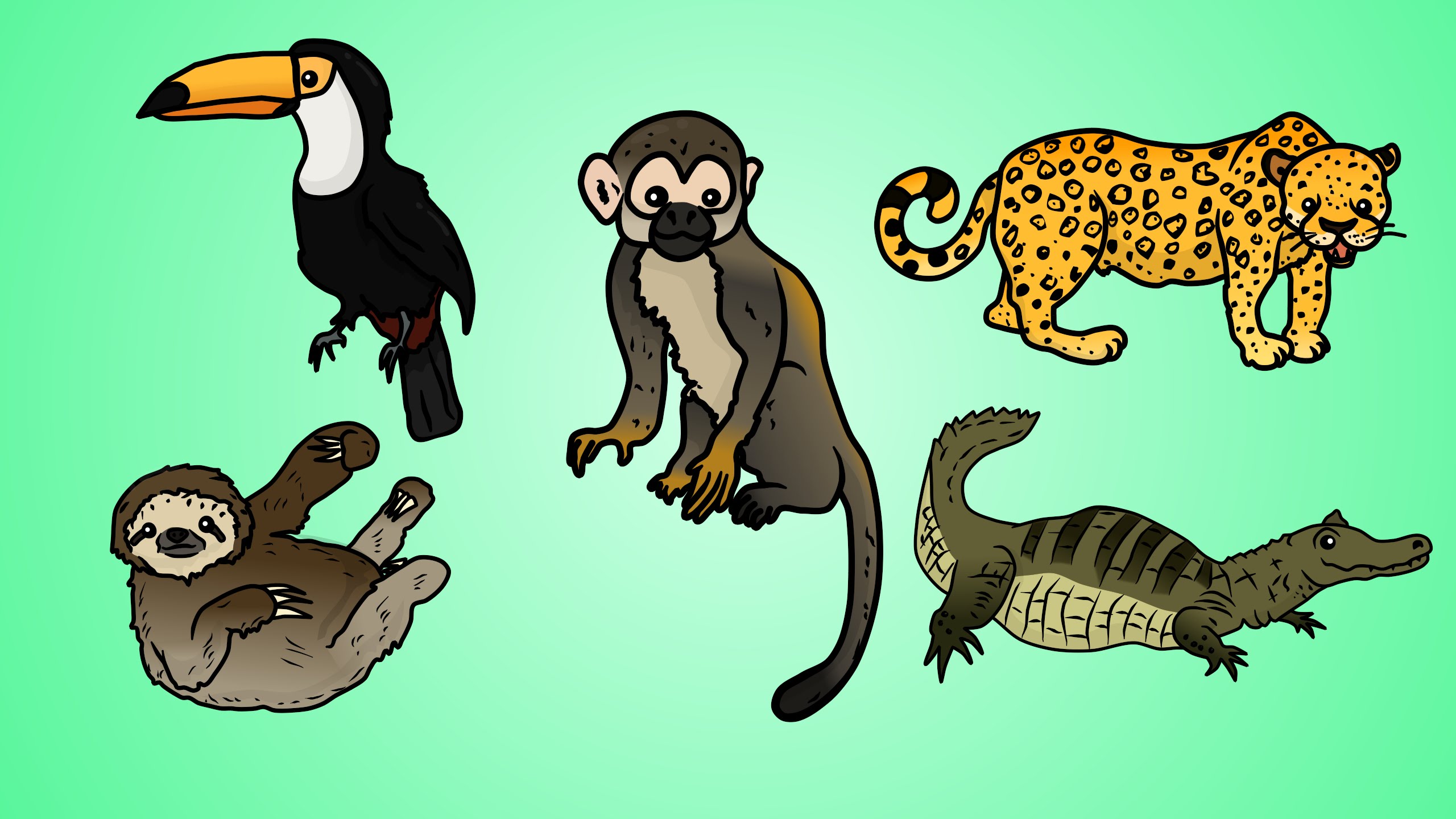 2560x1440 Draw Five How To Draw Jungle Animals - Jungle Animal Sketch