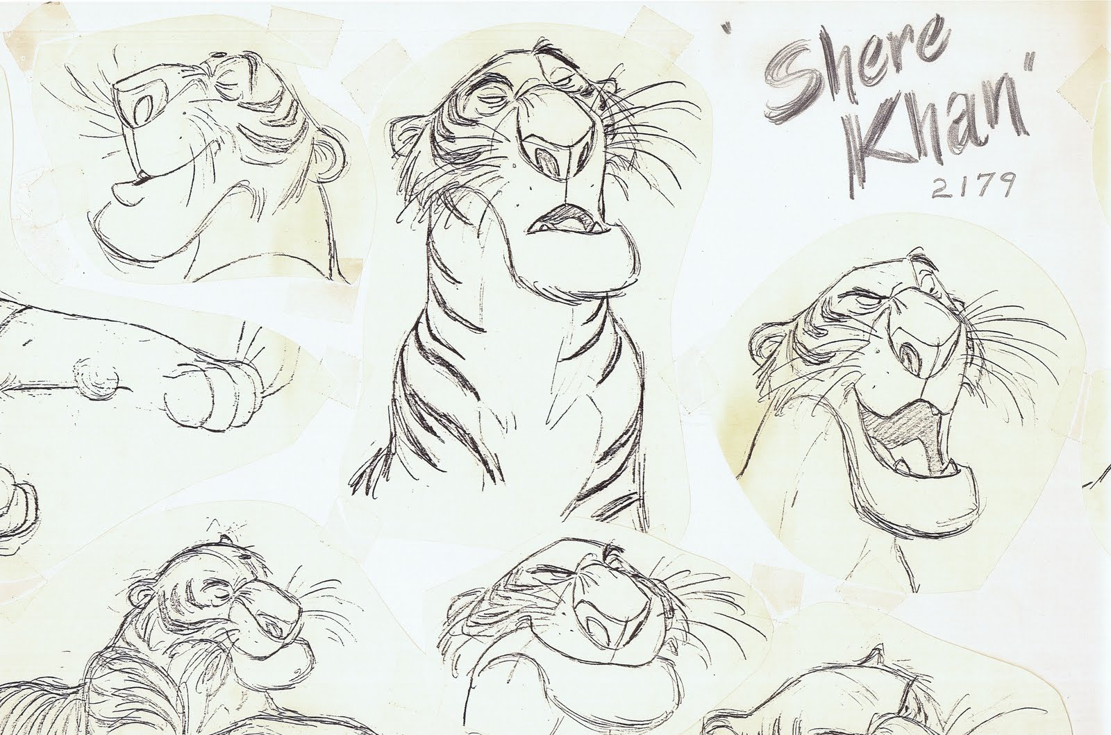 1600x1059 Image - Jungle Book Sketch