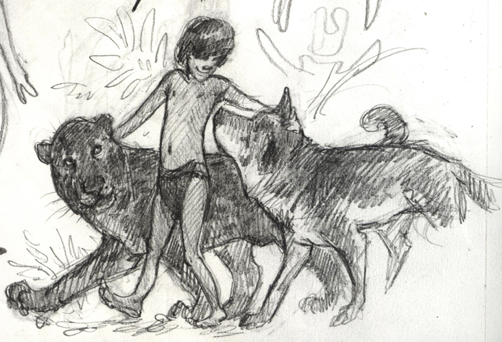 732x499 Jungle Book Jaimiewhitbread - Jungle Book Sketch