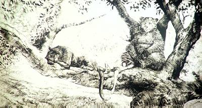 400x214 The Jungle Book 2016 Full Movie - Jungle Book Sketch