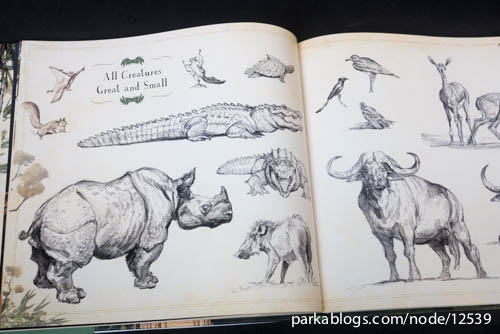500x334 Book Review The Art Of The Jungle Book Parka Blogs - Jungle Book Sketch