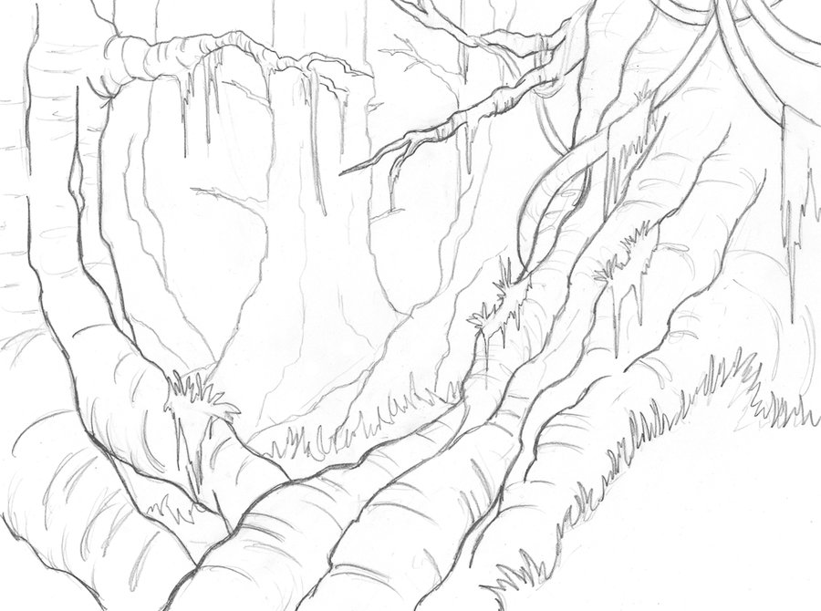 900x670 Felarya Jungle Sketch By Blazbaros - Jungle Sketch