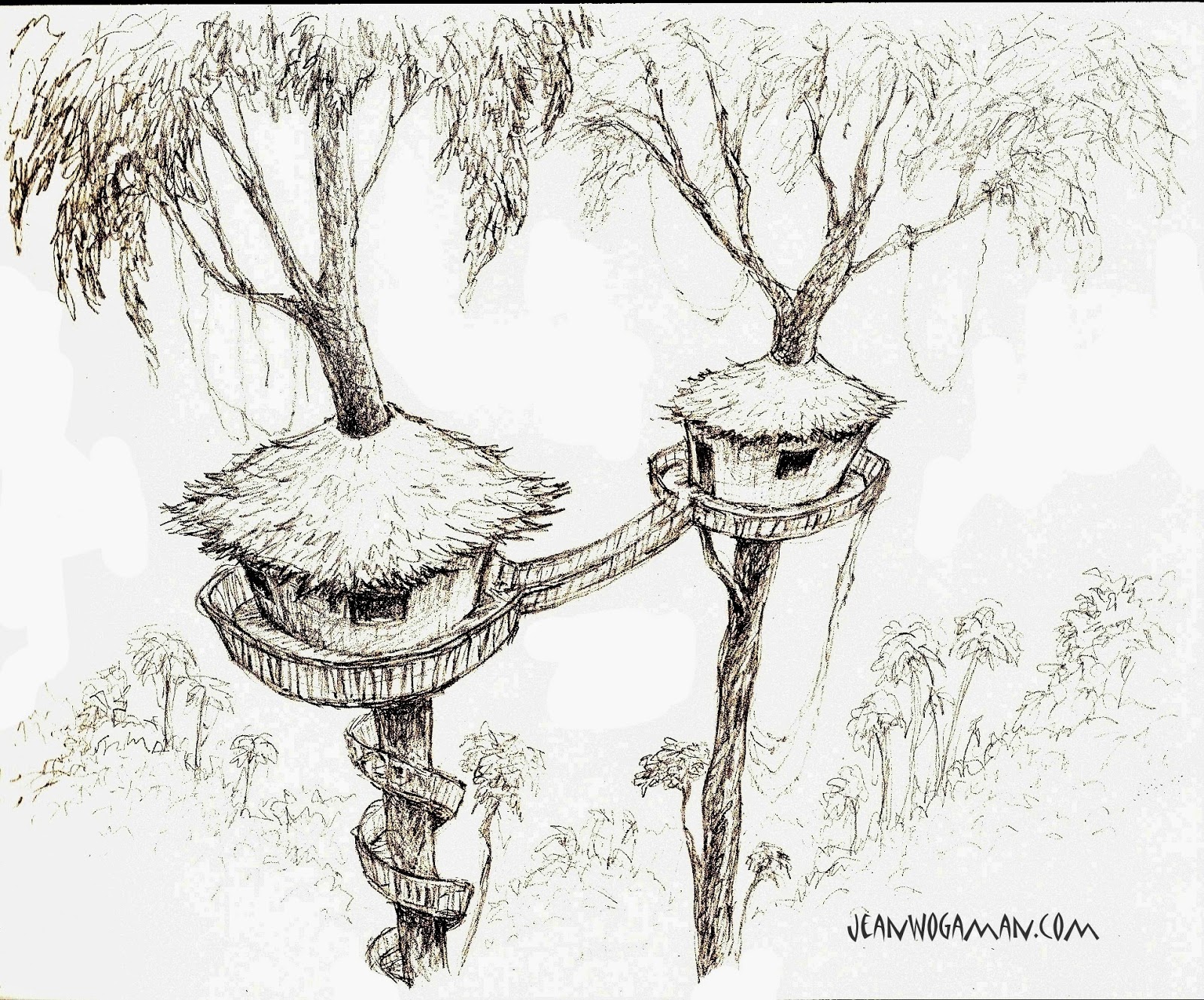 1600x1329 Illustration Friday Jungle - Jungle Sketch