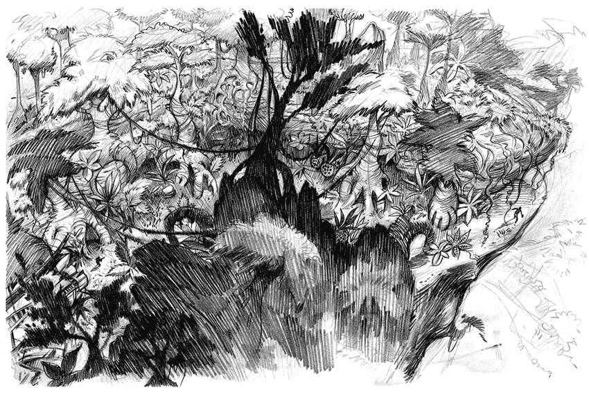 850x570 Jungle Sketch - Jungle Sketch