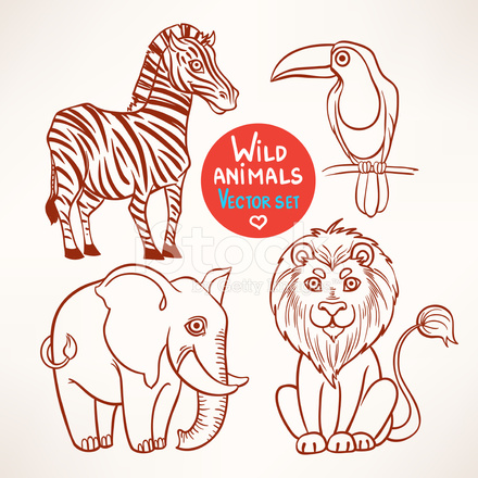 440x440 Jungle Sketch Animals Stock Vector - Jungle Sketch