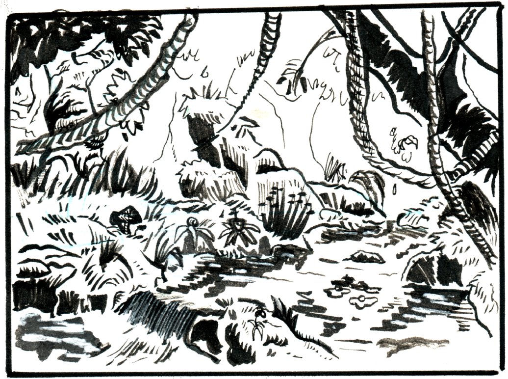 1036x772 Jungle Sketch By Lucaslz - Jungle Sketch