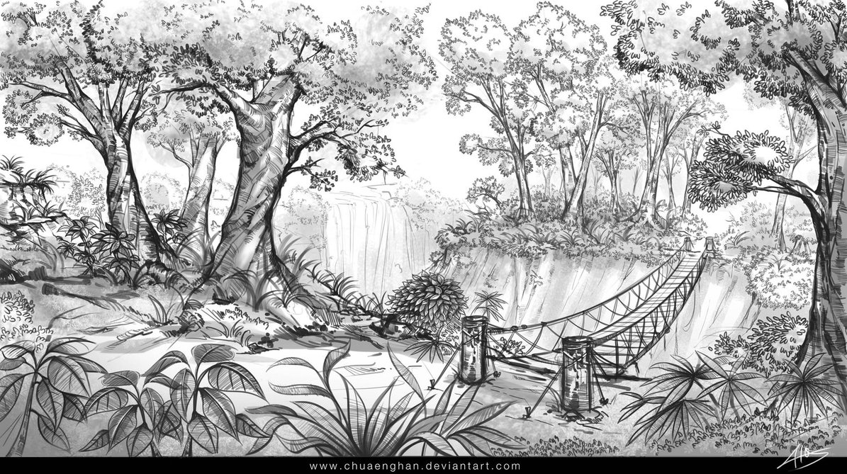 1195x669 Jungle Sketch By Chuaenghan - Jungle Sketch