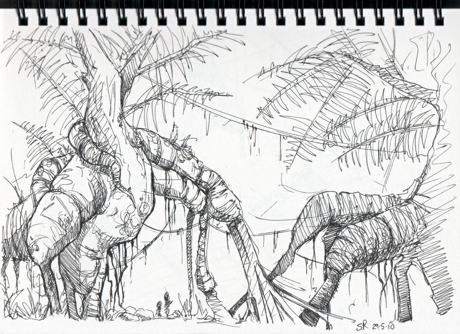 1600x1163 Just Another Sketch Blog Lots More Jungle Sketches Art And - Jungle Sketch