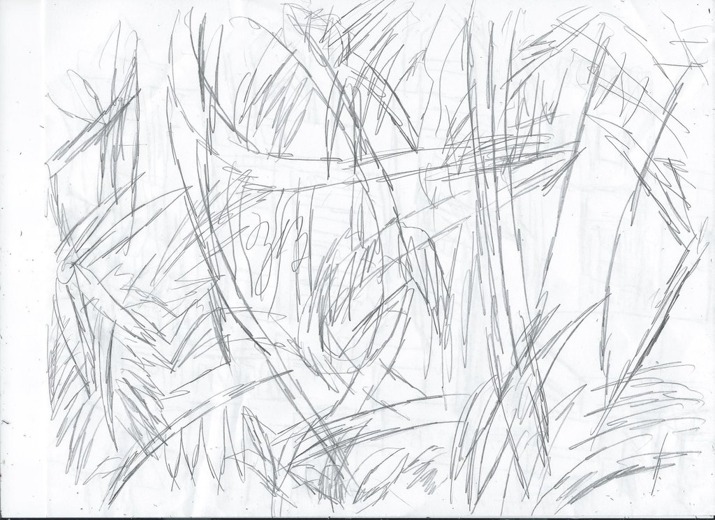 1024x745 Sketch Sunday Jungle By Thezackburg - Jungle Sketch