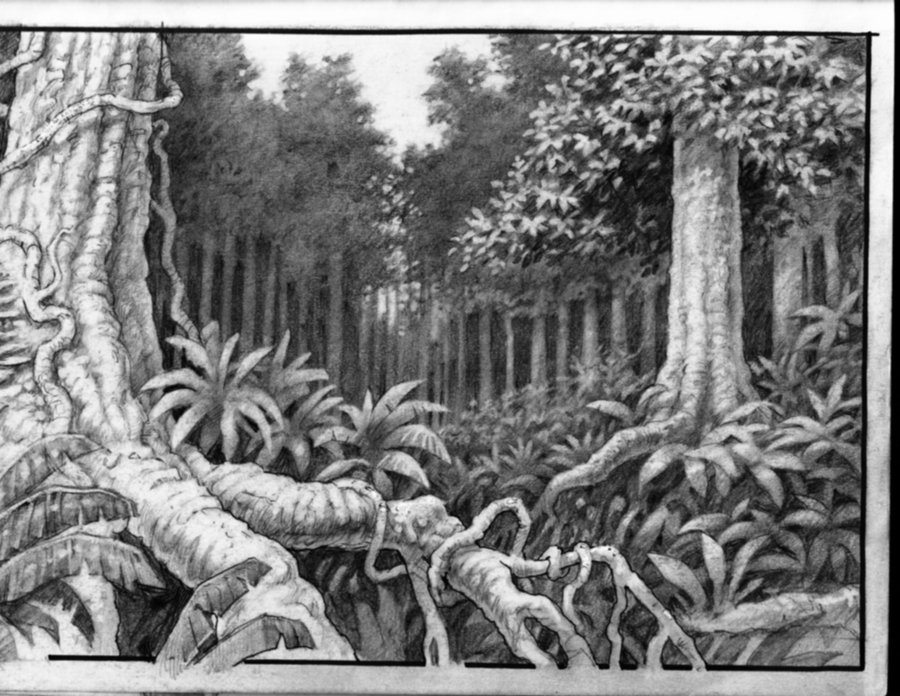 900x696 Jungle Sketch By Scratchmark - Jungle Sketch