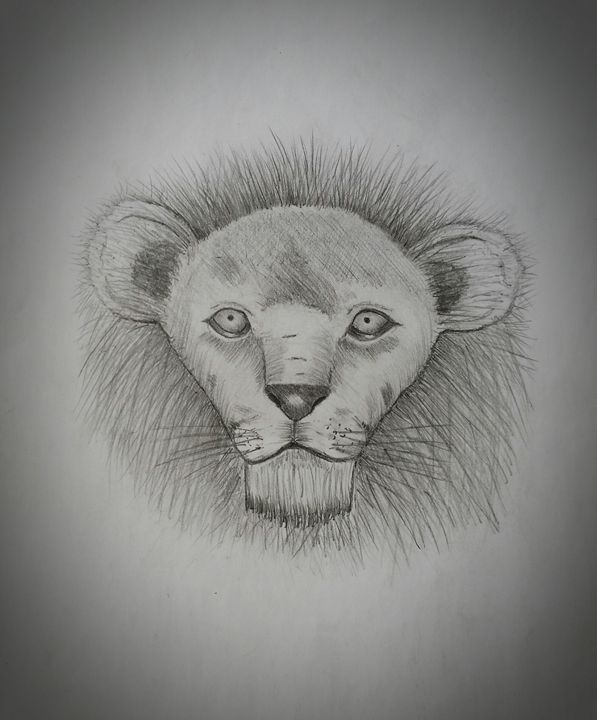 597x720 King Of The Jungle. - Jungle Sketch