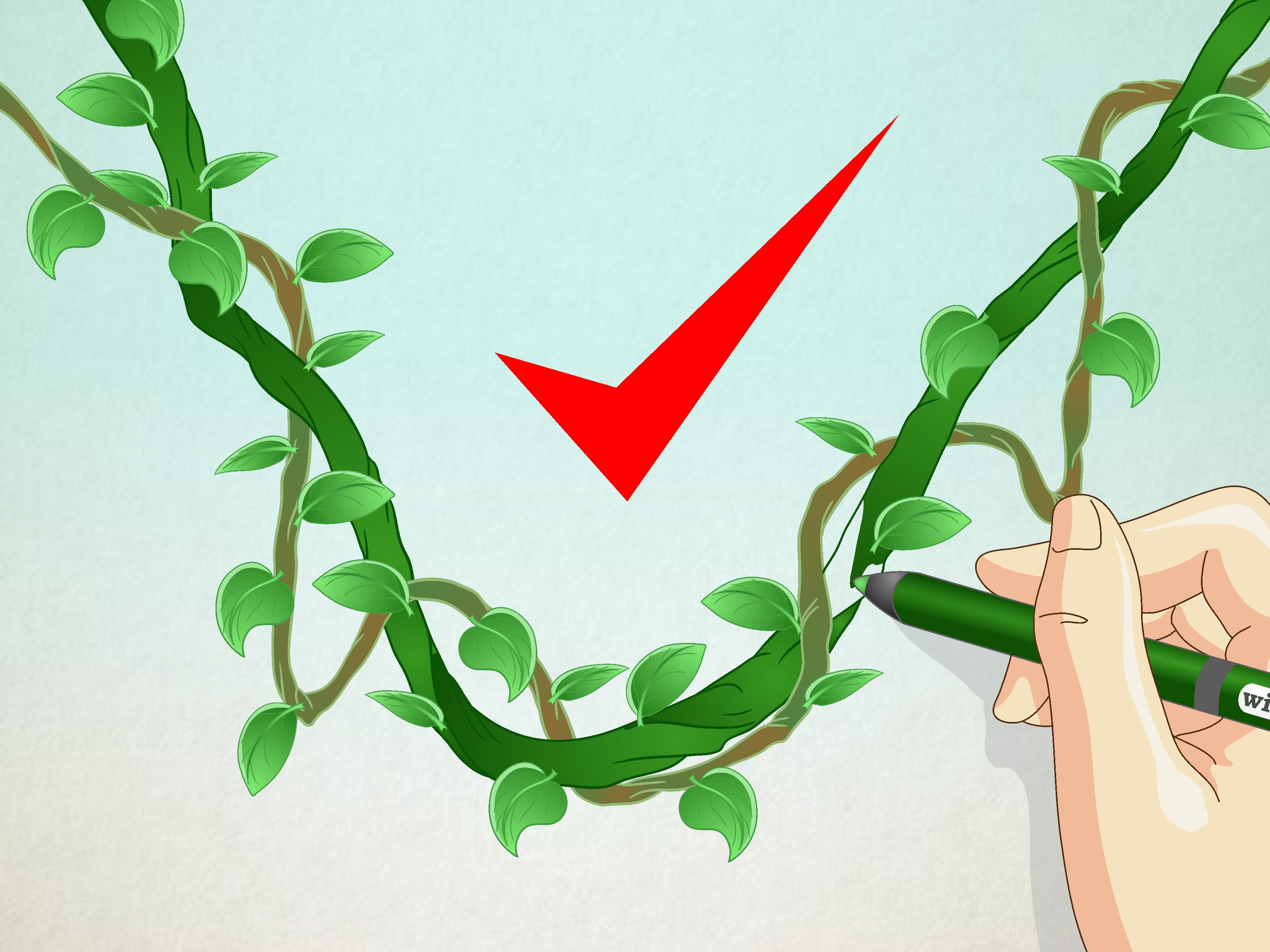 3200x2400 How To Draw A Jungle Vine 7 Steps (With Pictures) - Jungle Sketch For Kids