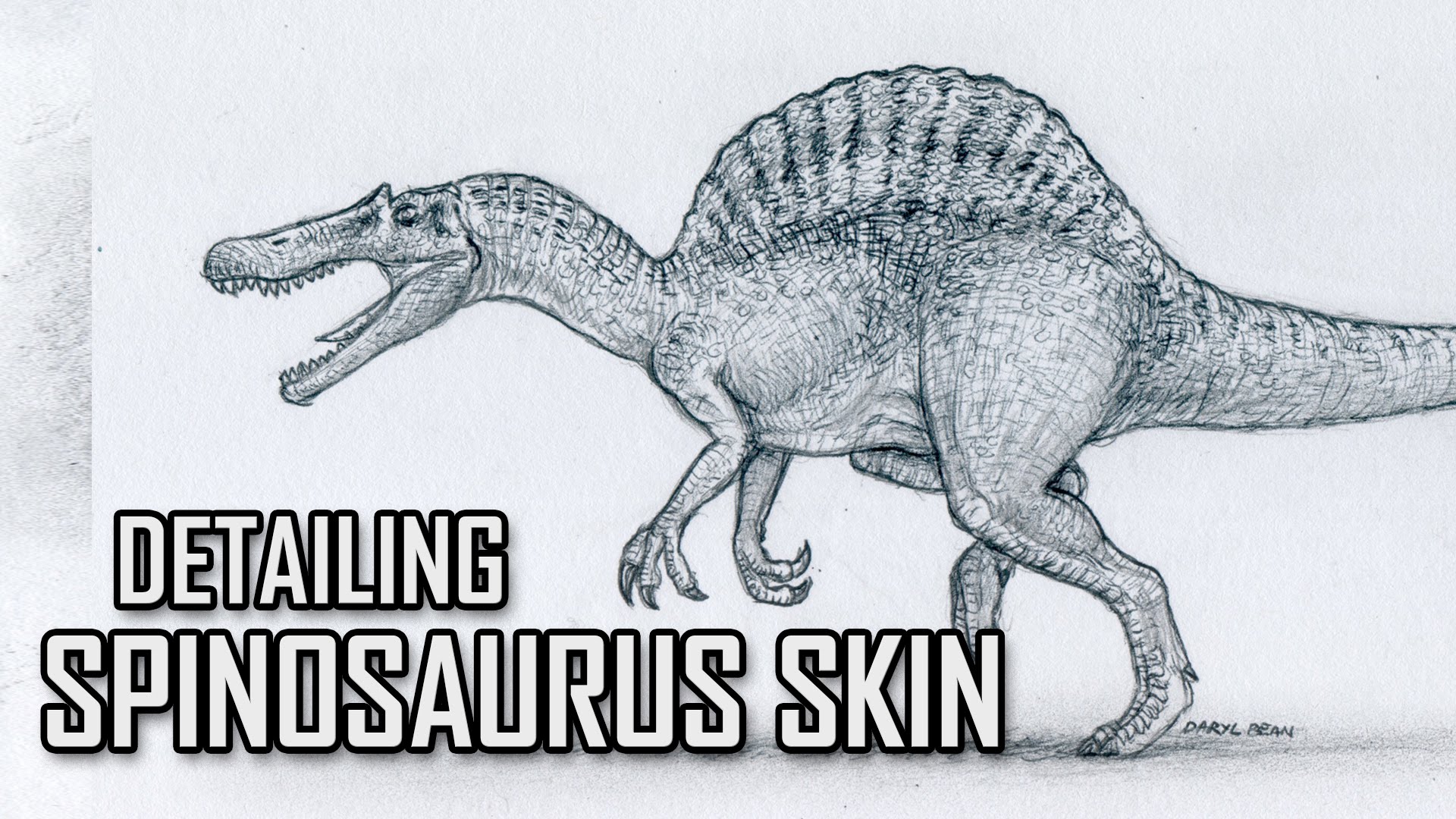 1920x1080 Drawing Spinosaurus Jurassic Park Iii - Jurassic Park Sketch