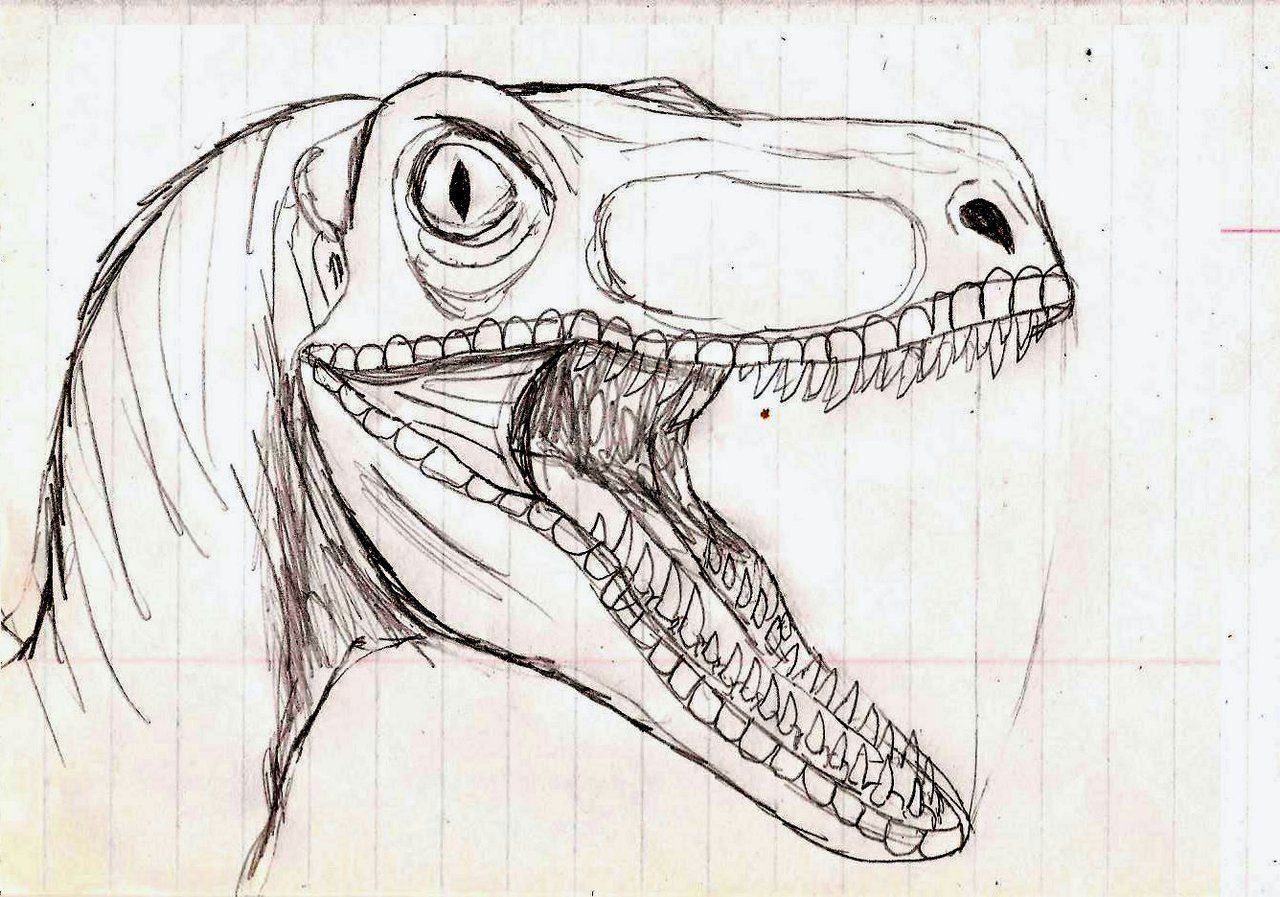 1280x897 Jurassic Park Raptor By On @ - Jurassic World Sketch
