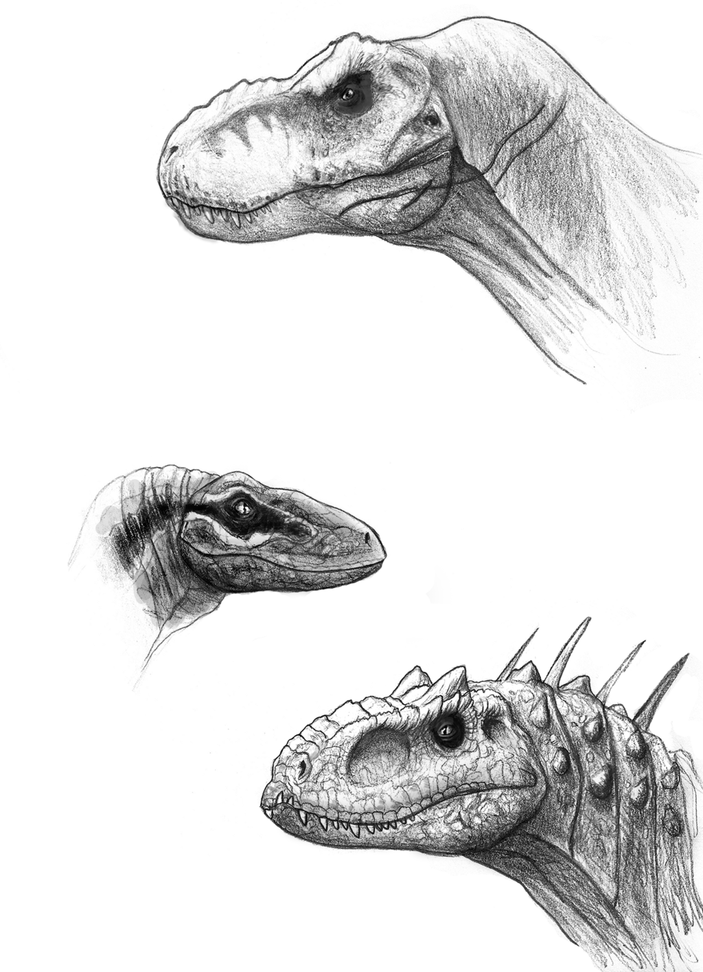 1024x1415 Jurassic World Sketches By On @ - Jurassic World Sketch