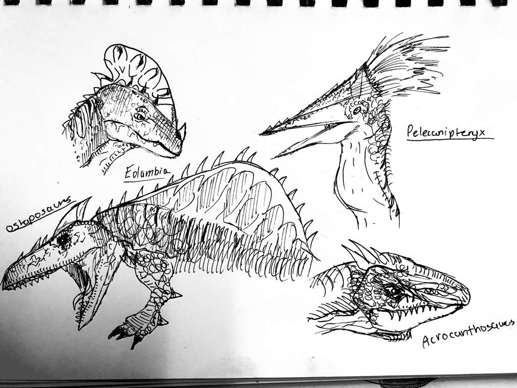 1024x768 Jurassic World The Game 5 Minute Sketches! Dinosaur Lovers Amino - Jurassic World Sketch
