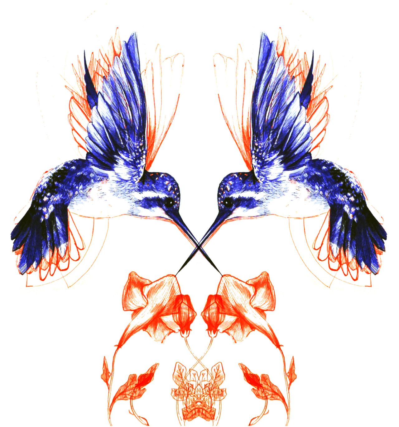 1280x1368 Drawing Illustration Art Flowers Feathers Bird Reflection Sketch - Kaleidoscope Sketch