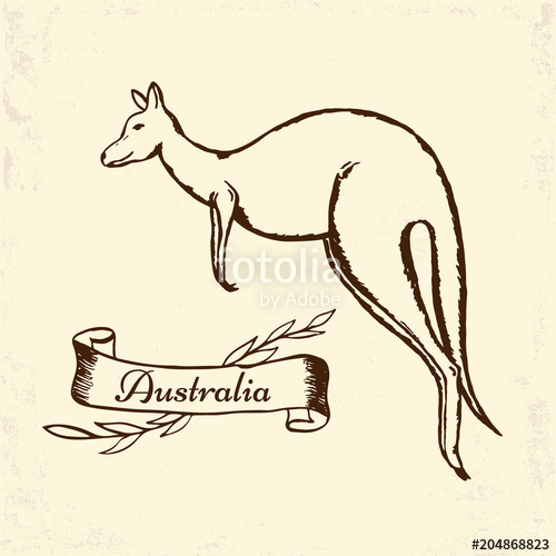 500x500 Kangaroo Sketch On Vintage Paper Stock Image And Royalty Free - Kangaroo Sketch