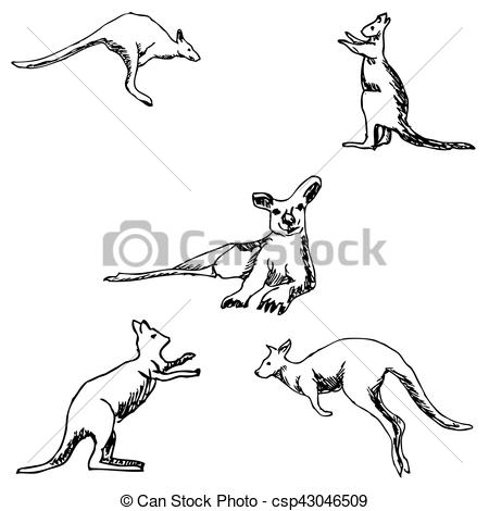 450x470 Kangaroo. A Sketch By Hand. Pencil Drawing. Vector Image Vector - Kangaroo Sketch