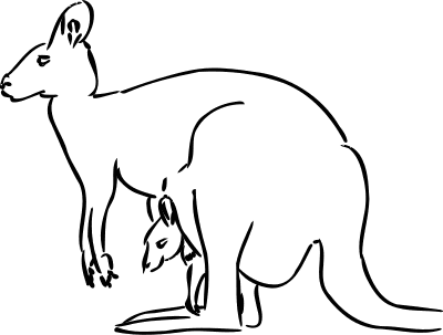 400x303 Kangaroo Sketch - Kangaroo Sketch