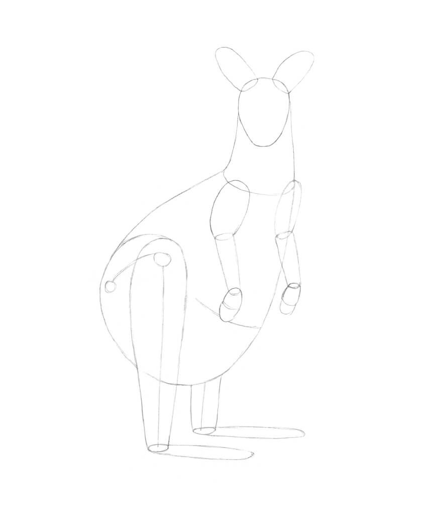 850x1036 How To Draw A Kangaroo - Kangaroo Sketch