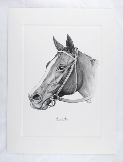486x640 Vintage Genuine Risk 1980 Kentucky Derby Winner Print Ebay - Kentucky Derby Sketch