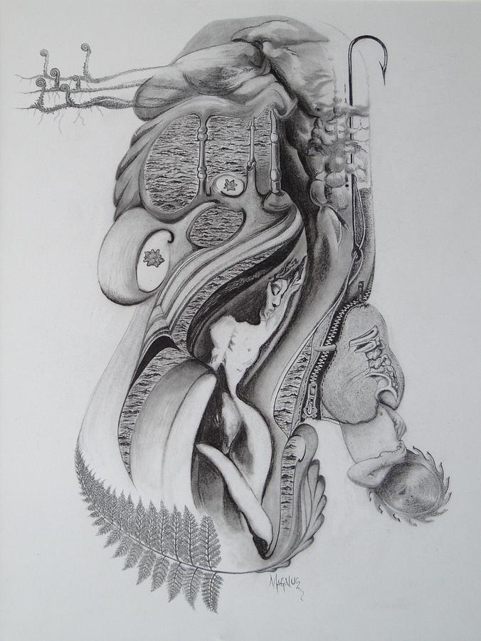 676x900 Kidney Stone Drawing By Mag Nus - Kidney Sketch