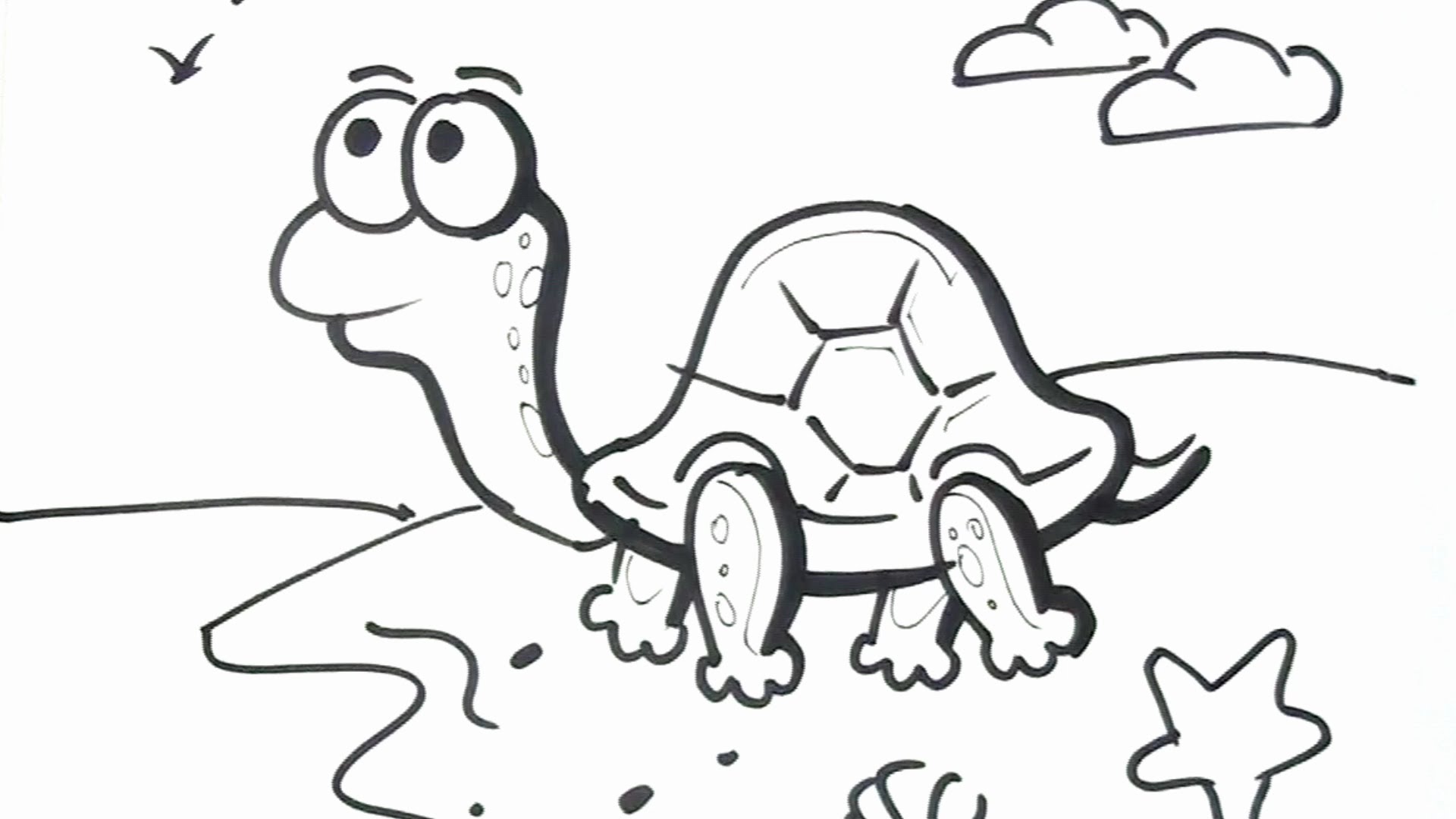 1920x1080 Art For Kids How To Draw A Turtle Cartoon Drawing For Children - Kids Cartoon Sketch