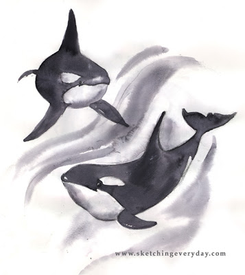 357x400 Drawing Everyday Playful Orcas Killer Whales - Killer Whale Sketch