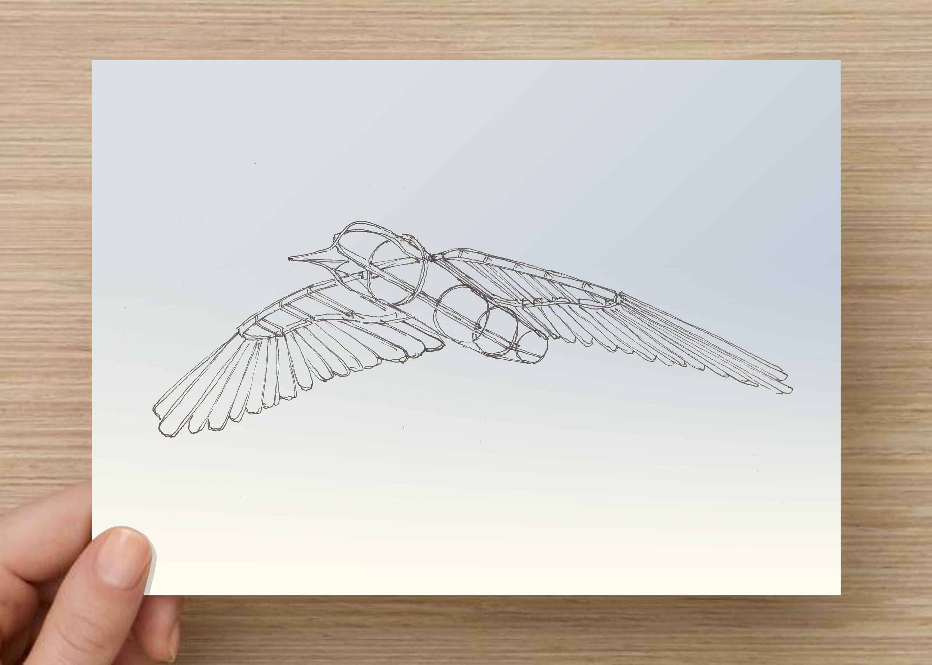 3000x2143 Ink Sketch Of Bird Metal Sculpture - Kinetic Sketch