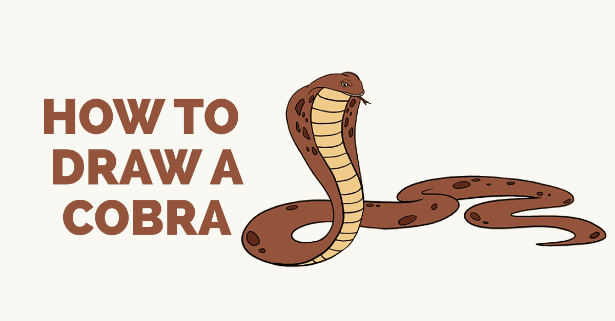1200x628 How To Draw A Cobra Easy Step By Step Drawing Guides - King Cobra Sketch