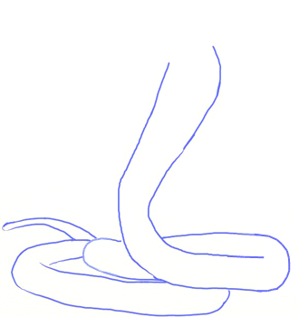 330x350 How To Draw A King Cobra Snake - King Cobra Sketch