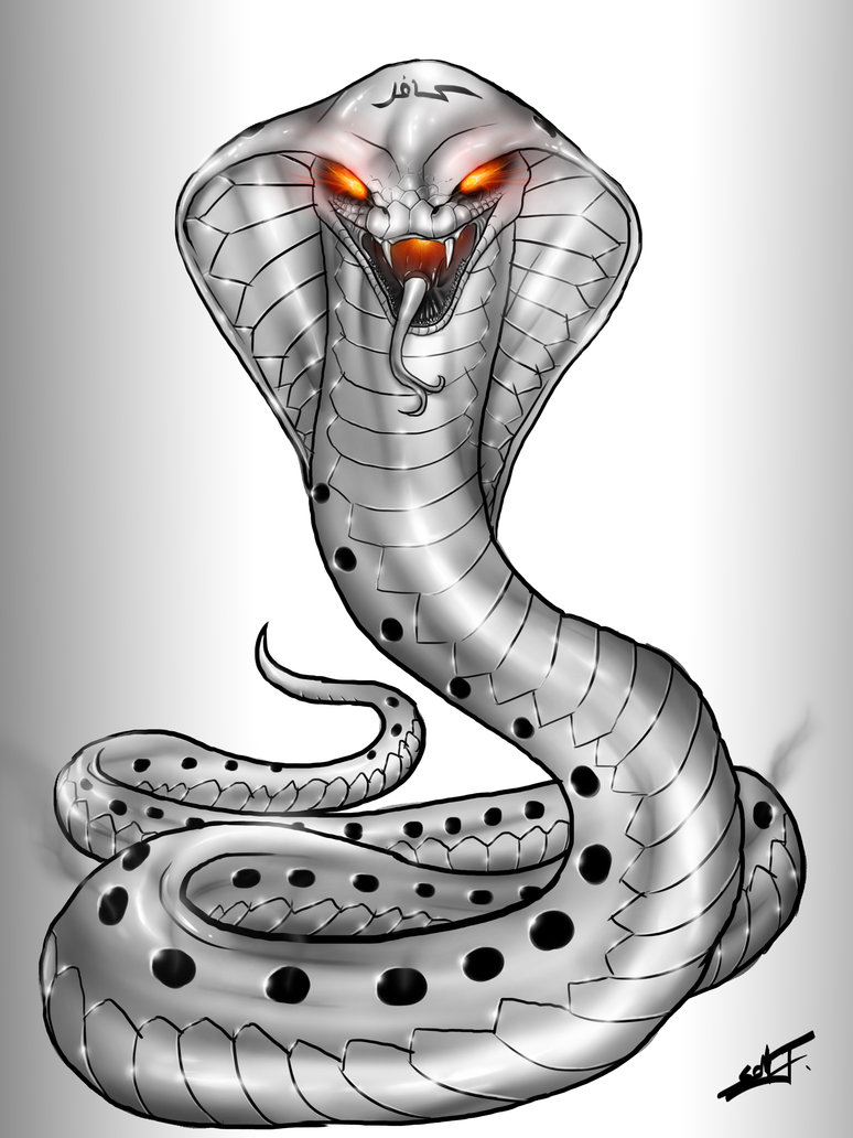 King Cobra Sketch at Explore collection of King