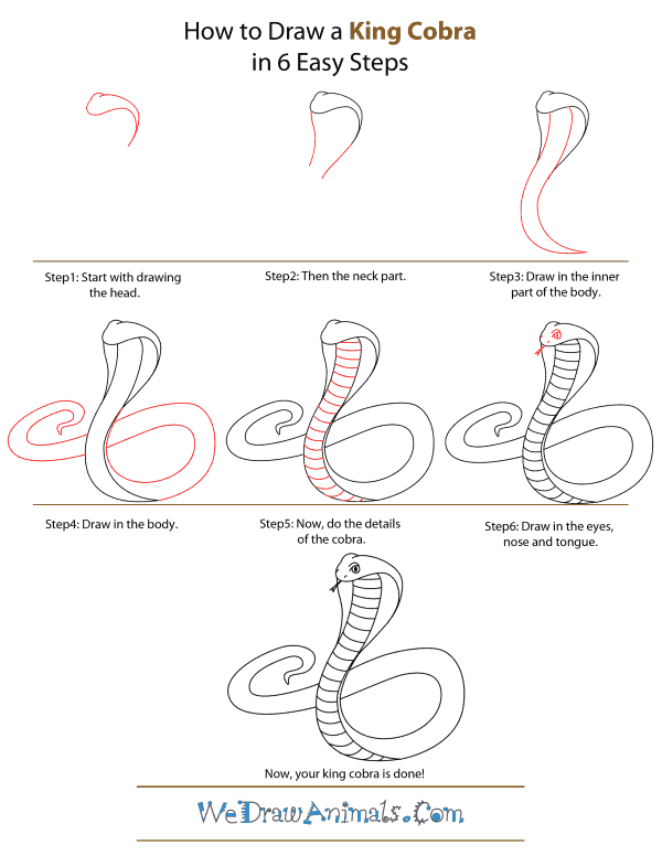 600x776 How To Draw A King Cobra - King Cobra Snake Sketch