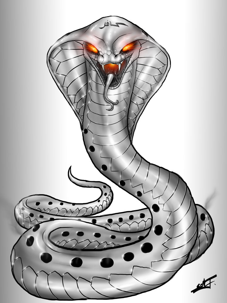 774x1032 King Cobra By Therisingsoul - King Cobra Snake Sketch