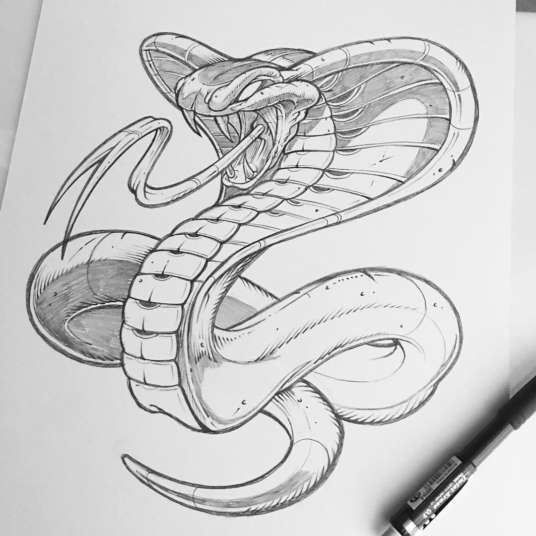 Cobra Snake Drawings Art Cobra Dibujo Dibujo De Serpiente Y Dibujos ...