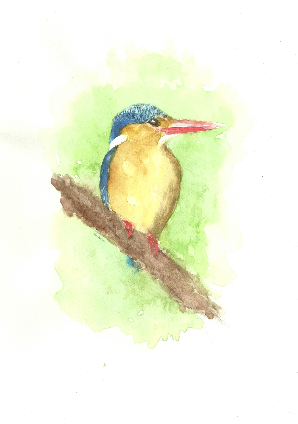 1000x1425 Draw A Bird Day Malachite Kingfisher Sissh Art - Kingfisher Bird Sketches