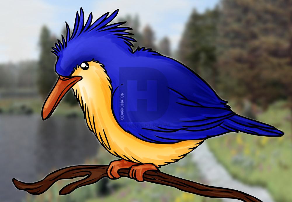 1000x692 How To Draw A Kingfisher Bird, Step By Step, Drawing Guide, By - Kingfisher Bird Sketches