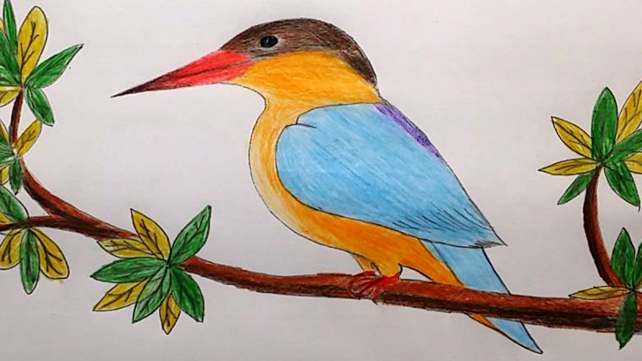 1280x720 How To Draw A Kingfisher Step By Step Masranga Bird Drawing - Kingfisher Bird Sketches