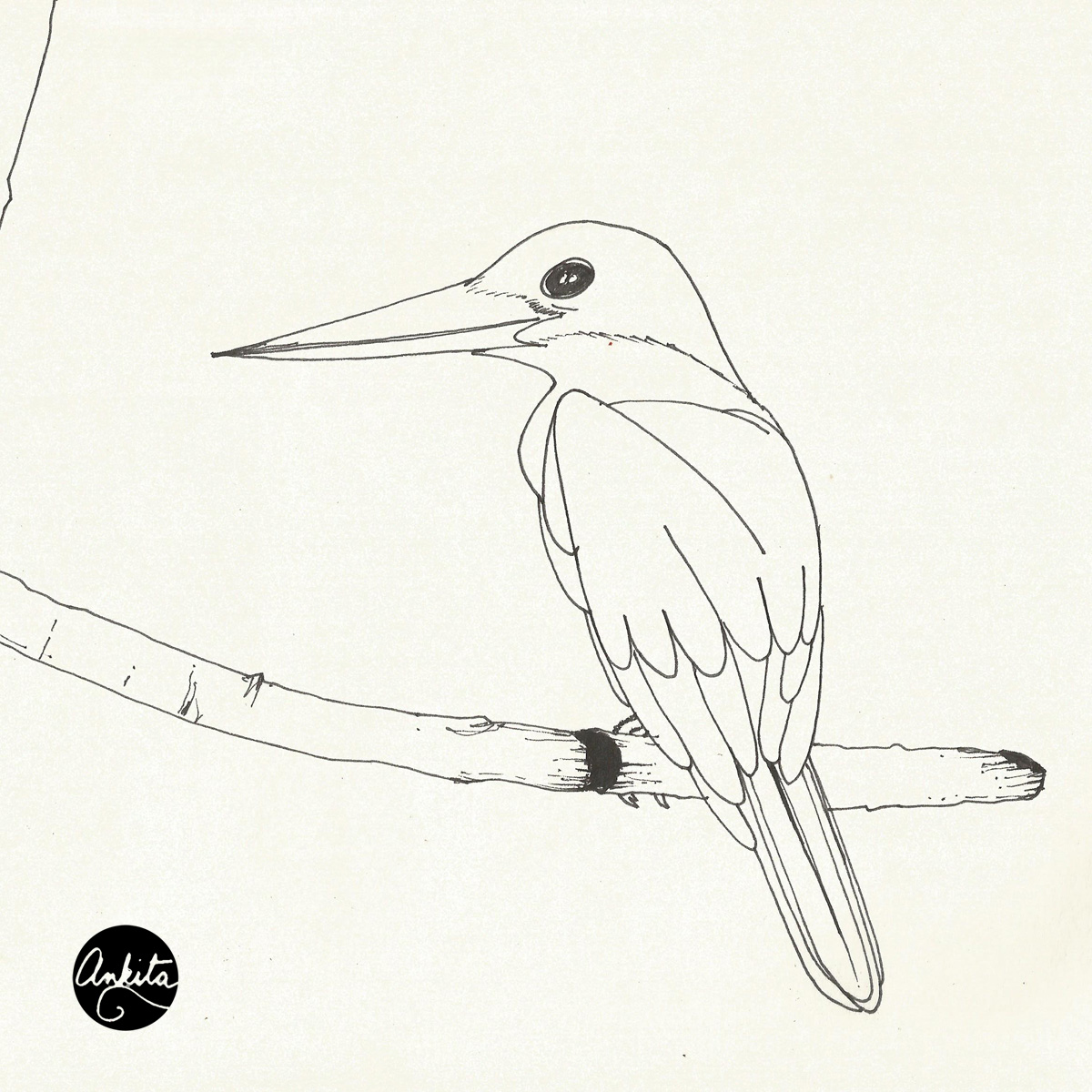 1200x1200 Stork Billed Kingfisher She Does Art - Kingfisher Bird Sketches