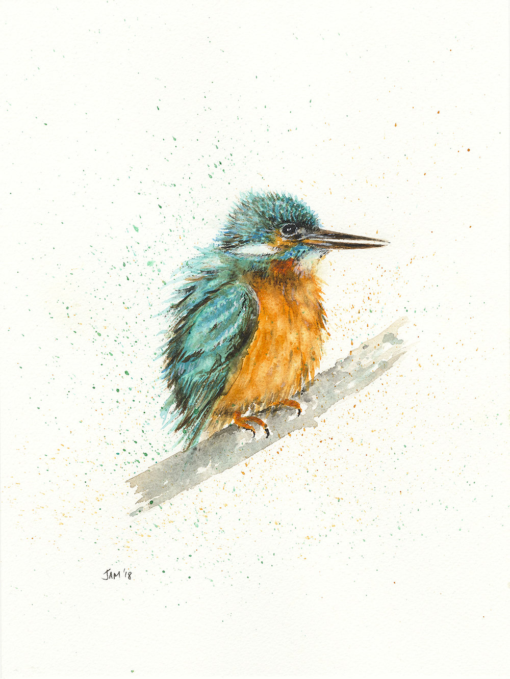 1000x1332 Kingfisher - Kingfisher Sketch